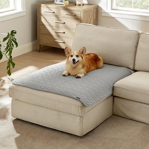 BEDSURE wasserdichte Hundedecke - 76x178 cm rutschfeste Schutzmatte für Couch, waschbar und kratzfest, Grau OEKO-TEX STA