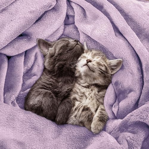 Utopia Bedding Kuscheldecke flauschig Warm für Winter und Sofa
