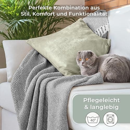 Gräfenstayn Premium Baumwolltagesdecke Creme - 100% Baumwolle - Sommerdecke - Fischgrätenmuster - Bett- und Couch-Überwu