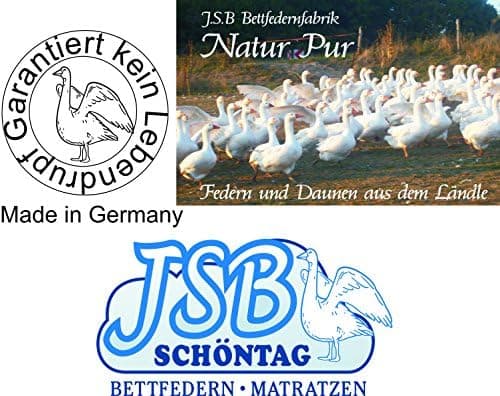 Federkissen Set 3er 360g Füllung Innenkissen Wohnzimmersofa (3)
