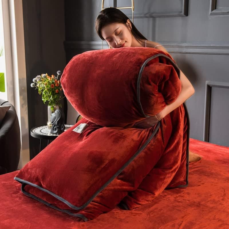 TGPOLI Warmes BettwäSche-Set 200x220, Flauschiger Ssstoff, Weicher Bettbezug und Kissenbezug, ideal für Winter, 200x230c
